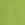 Leaf Green